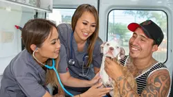 Les vétos de Bondi Beach