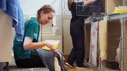 Les vétos de Nouvelle-Zélande