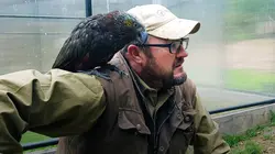 Les vétos de Nouvelle-Zélande