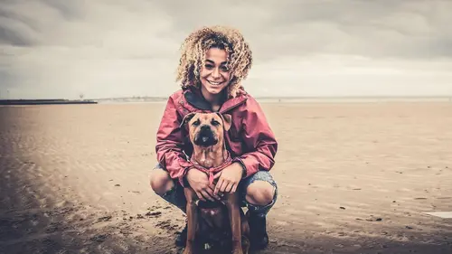 Épisodes de Les vétos du coeur