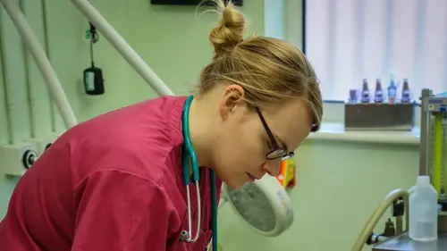 Casting Les vétos du coeur