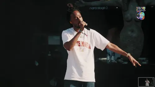 Les Vieilles Charrues Luidji