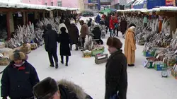 Visuel de Les villes de l'extrême