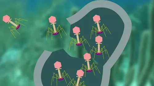 Les virus et nous