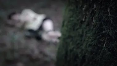 L'affaire Stéphane Dieterich