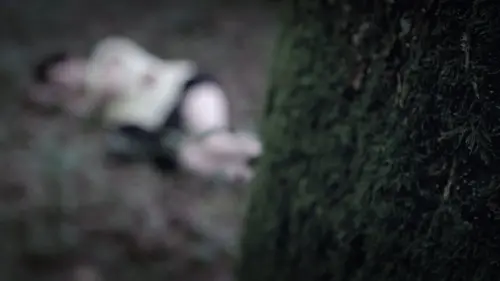 Les visages du crime L'affaire Stéphane Dieterich