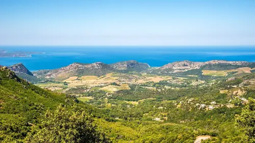 Les visages du crime en région Drames en Haute-Corse