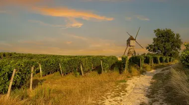 Pays de la Loire : sur la piste du crime