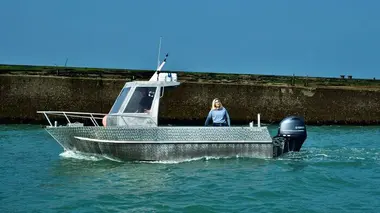 La bataille de Normandie