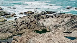 Les volcans de Nouvelle-Zélande