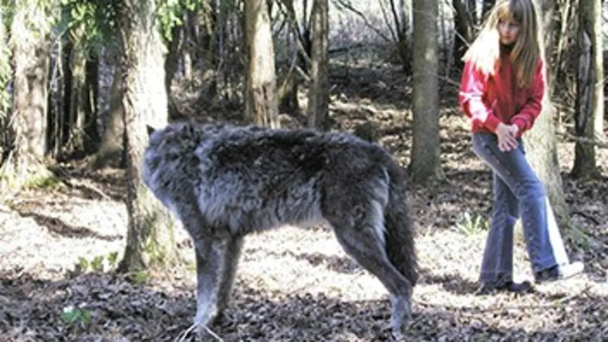 Les voyages extraordinaires de Tippi E05 Tippi et les loups