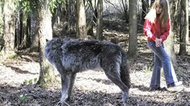 Les voyages extraordinaires de Tippi E05 Tippi et les loups