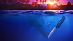 Les vrais experts : Miami