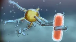 Les vrais maîtres de la Terre : Les microbes