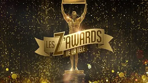 Audiences TV : Les z'awards de la télé