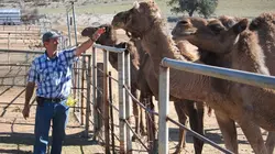 Les zarbis S02E02 Bataille animale / L'île au diable
