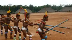 Visuel de Les Zo'é, l'Amazonie en héritage