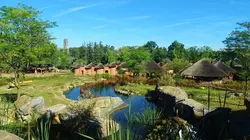 Les zoos les plus incroyables de France