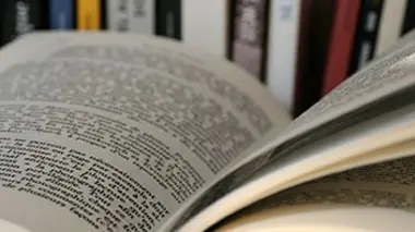 Albert Camus ou l'éclat du soleil