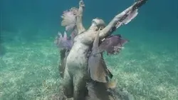 Leurs vies aquatiques