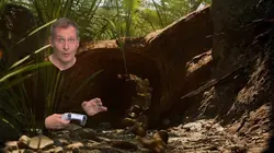 Level One Direct  S06E35