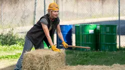 Leverage: Redemption