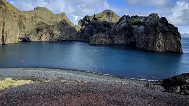 Liberté pour les belugas !