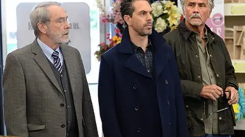 Life in Pieces S01E12 La morsure / L'avion / Pote de drague / Bonnie en streaming