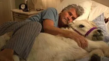 Le sexting / Samantha et Irving / Limonade / Peine de cœur