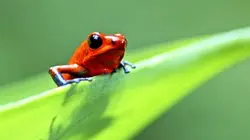 Visuel de Life, l'aventure de la vie