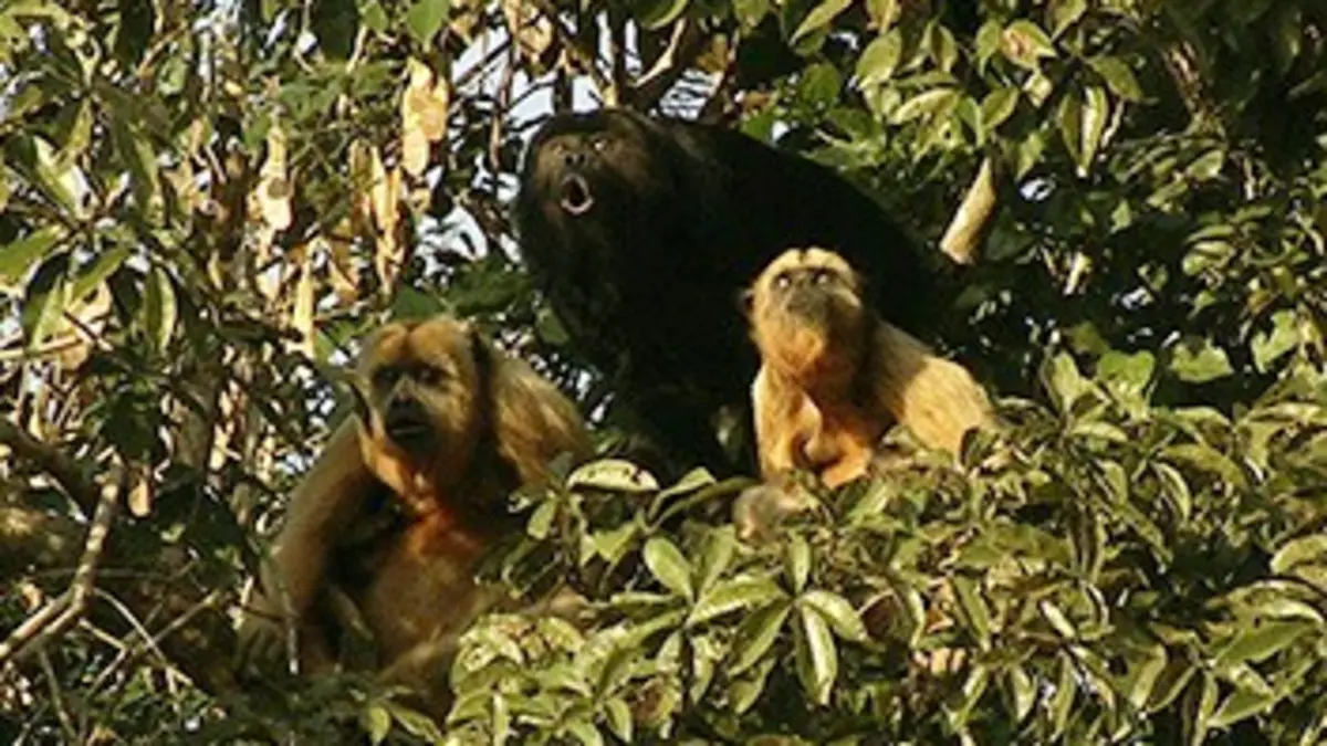 Life Stories Construire pour survivre