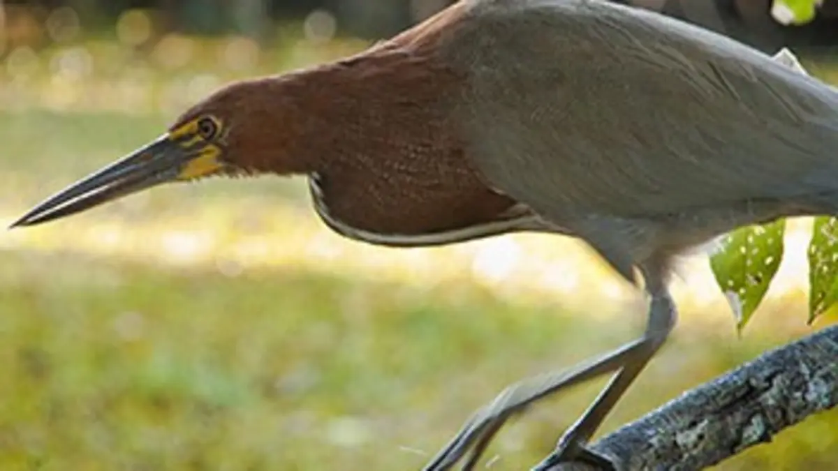 Life Stories Communiquer pour vivre