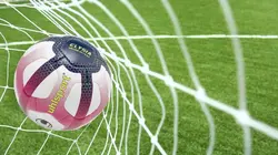 Visuel de Stade Rennais - Olympique Lyon
