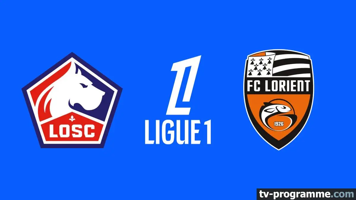 Lille / Lorient Football Ligue 1 McDonald's 2025-2026