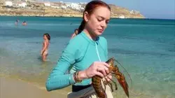 Visuel de Lindsay Lohan Beach Club