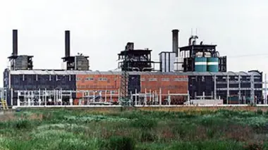 Linea umbra