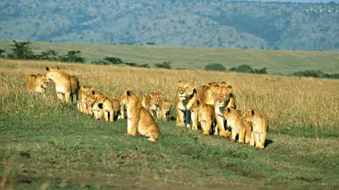 Grandir en terre hostile