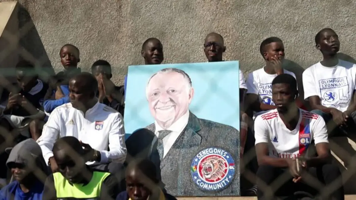 Lionceaux de la Teranga