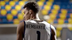 Lionceaux de la Teranga