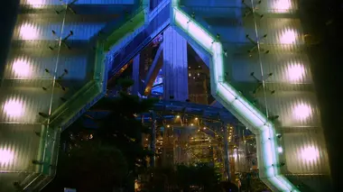 Biennale de São Paulo, l'art en fête