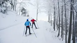 Livigno Beyond the Snow