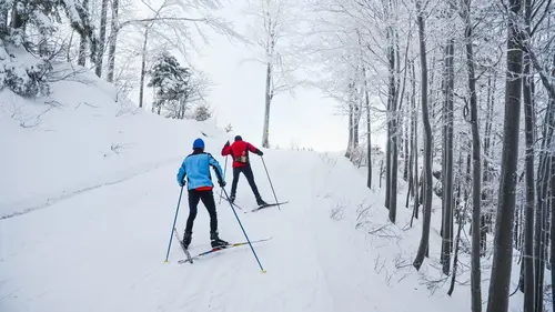 Livigno Beyond the Snow