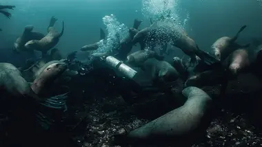 Les saisons sur le littoral