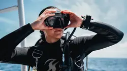 Lizzie Daly, les profondeurs d'Amérique du Nord Les créatures des marais