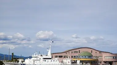 Japon (îles Tokara)