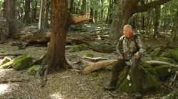 Sur Discovery Channel à 20h45 : Lone Target