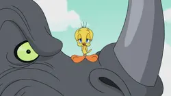 Sur Boomerang à 20h30 : Looney Tunes Cartoons
