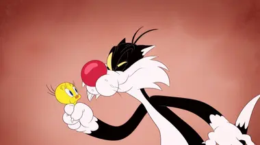 Looney Tunes Cartoons S01E16 L'affaire du pantalon de Porky / La visite médicale