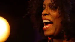 Visuel de Lotos Jazz Festival 2014