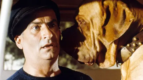 Louis de Funès, créature / créateur